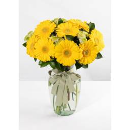 Florero con 12 gerberas amarillas