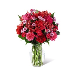 Florero con claveles, felpillas y astromelias